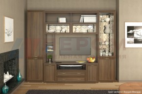 Гостиная Карина Композиция 9 (Акация Молдау) в Троицке - troick.ok-mebel.com | фото