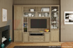 Гостиная Карина Композиция 9 (Гикори Джексон светлый) в Троицке - troick.ok-mebel.com | фото