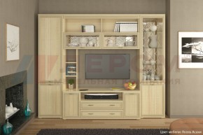 Гостиная Карина Композиция 9 (Ясень Асахи) в Троицке - troick.ok-mebel.com | фото