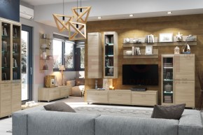 Гостиная Мелисса Композиция 3 (Ясень Асахи) в Троицке - troick.ok-mebel.com | фото