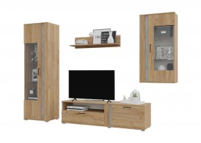 Гостиная Омега (Крафт золотой-Бетон) в Троицке - troick.ok-mebel.com | фото 2