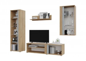 Гостиная Омега (Крафт золотой-Бетон) в Троицке - troick.ok-mebel.com | фото 3