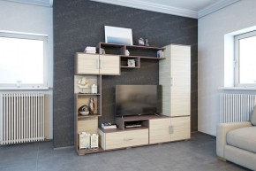 Гостиная Пекин (ЭРА) в Троицке - troick.ok-mebel.com | фото 2