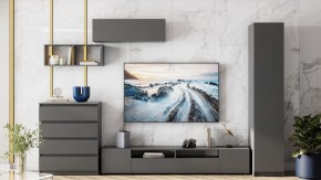 Комод Сибити в Троицке - troick.ok-mebel.com | фото 5