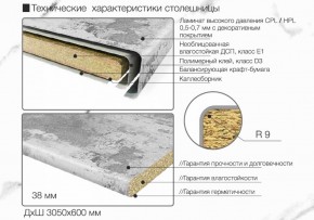 Кухонный фартук со столешницей (А-01) в едином стиле (3050 мм) в Троицке - troick.ok-mebel.com | фото 6