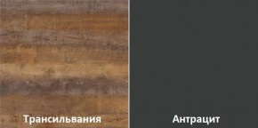 Кухонный гарнитур угловой Трансильвания 2600х1600 мм (Стол. 38 мм) в Троицке - troick.ok-mebel.com | фото 3