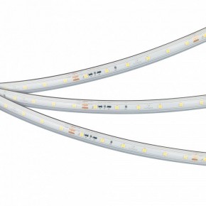 Лента светодиодная Arlight IC-PS-A60-10mm 24V 050656 в Троицке - troick.ok-mebel.com | фото