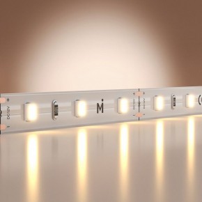Лента светодиодная Maytoni Base 201162 в Троицке - troick.ok-mebel.com | фото