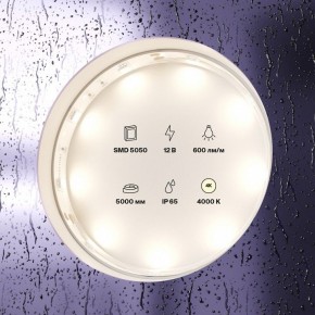 Лента светодиодная Maytoni Led strip 10124 в Троицке - troick.ok-mebel.com | фото 3