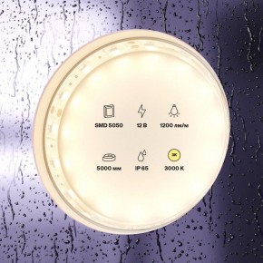 Лента светодиодная Maytoni Led strip 10131 в Троицке - troick.ok-mebel.com | фото 2