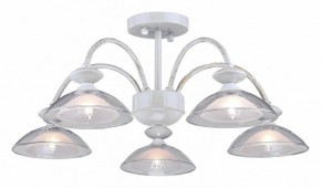 Люстра на штанге Arti Lampadari Noventa Noventa E 1.1.5 W в Троицке - troick.ok-mebel.com | фото