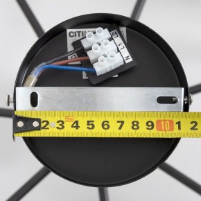 Люстра на штанге Citilux Стивен CL141271 в Троицке - troick.ok-mebel.com | фото 13