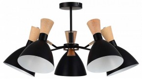 Люстра на штанге EVOLUCE VISTA SLE1256-402-05 в Троицке - troick.ok-mebel.com | фото