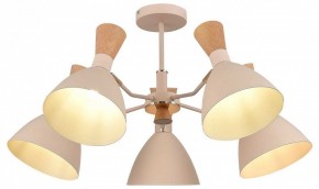 Люстра на штанге EVOLUCE VISTA SLE1256-502-05 в Троицке - troick.ok-mebel.com | фото 6