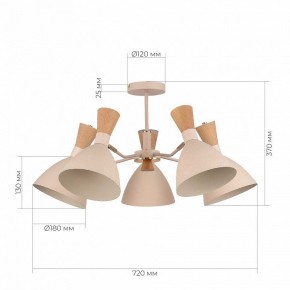 Люстра на штанге EVOLUCE VISTA SLE1256-502-05 в Троицке - troick.ok-mebel.com | фото 8
