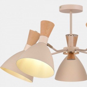 Люстра на штанге EVOLUCE VISTA SLE1256-502-05 в Троицке - troick.ok-mebel.com | фото 9