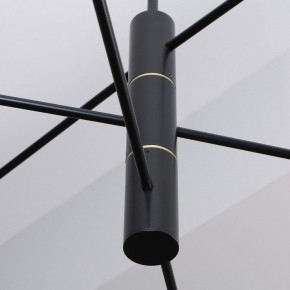 Люстра на штанге Favourite Imma 4375-6P в Троицке - troick.ok-mebel.com | фото 2
