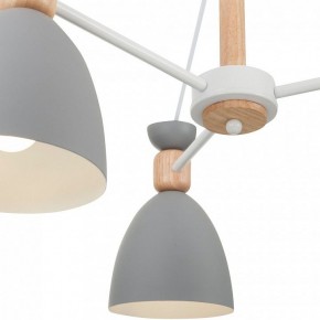 Люстра на штанге Freya Delia FR5033CL-05W в Троицке - troick.ok-mebel.com | фото