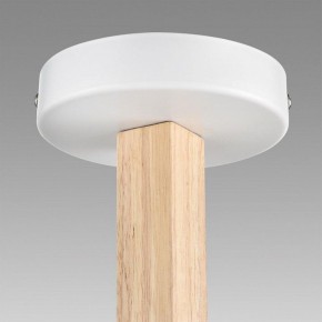 Люстра на штанге Lumion Colange 8095/3C в Троицке - troick.ok-mebel.com | фото 9