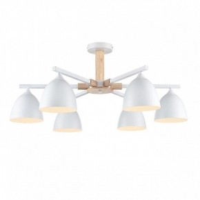 Люстра на штанге Lumion Colange 8095/6C в Троицке - troick.ok-mebel.com | фото 2