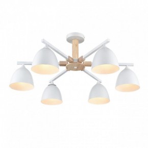 Люстра на штанге Lumion Colange 8095/6C в Троицке - troick.ok-mebel.com | фото 3