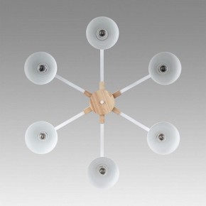 Люстра на штанге Lumion Colange 8095/6C в Троицке - troick.ok-mebel.com | фото 4