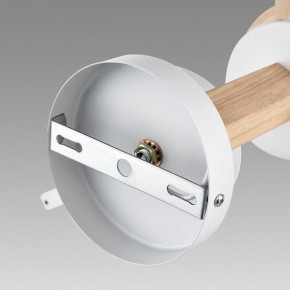 Люстра на штанге Lumion Colange 8095/6C в Троицке - troick.ok-mebel.com | фото 6