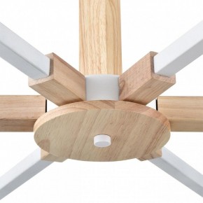 Люстра на штанге Lumion Colange 8095/6C в Троицке - troick.ok-mebel.com | фото 7