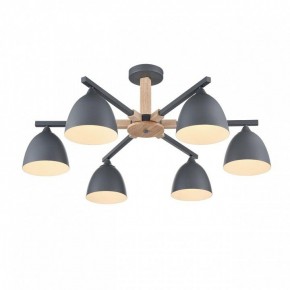 Люстра на штанге Lumion Colange 8096/6C в Троицке - troick.ok-mebel.com | фото 3