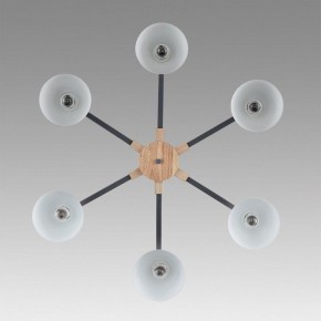 Люстра на штанге Lumion Colange 8096/6C в Троицке - troick.ok-mebel.com | фото 4