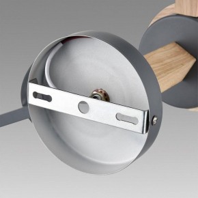 Люстра на штанге Lumion Colange 8096/6C в Троицке - troick.ok-mebel.com | фото 6