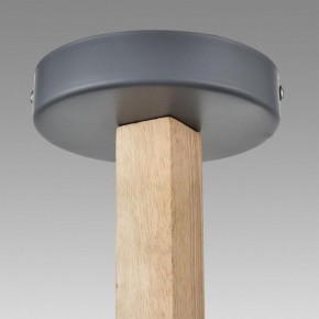 Люстра на штанге Lumion Colange 8096/6C в Троицке - troick.ok-mebel.com | фото 9