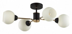 Люстра на штанге Lumion KODI 5646/4C в Троицке - troick.ok-mebel.com | фото