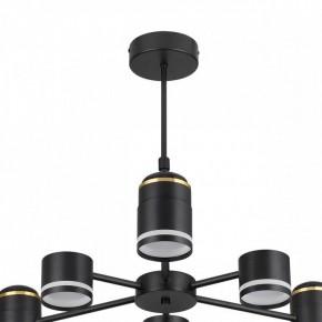 Люстра на штанге Lumion Virsava 8234/6C в Троицке - troick.ok-mebel.com | фото 5