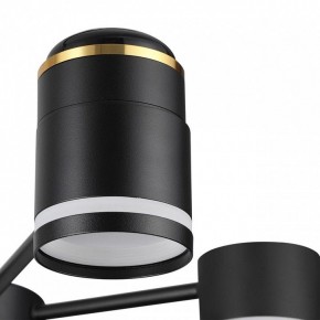 Люстра на штанге Lumion Virsava 8234/6C в Троицке - troick.ok-mebel.com | фото 8