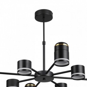 Люстра на штанге Lumion Virsava 8234/8C в Троицке - troick.ok-mebel.com | фото 5