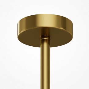 Люстра на штанге Maytoni Museo MOD436PL-07BS в Троицке - troick.ok-mebel.com | фото 5