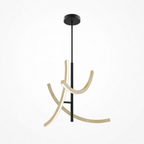 Люстра на штанге Maytoni Wabi MOD428PL-L27BK в Троицке - troick.ok-mebel.com | фото 5