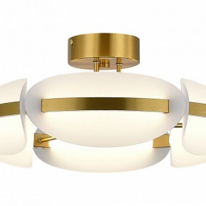 Люстра на штанге ST-Luce ETOILE SL1304.302.45 в Троицке - troick.ok-mebel.com | фото 4