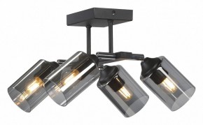 Люстра на штанге Vitaluce V2833 V2833-1/4PL в Троицке - troick.ok-mebel.com | фото