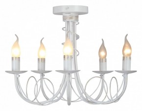 Люстра на штанге Vitaluce V3035 V3035-0/5PL в Троицке - troick.ok-mebel.com | фото 2