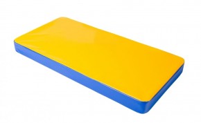 Мат гимнастический 1х0,5х0,08м цв. синий-желтый в Троицке - troick.ok-mebel.com | фото
