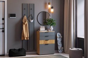МЕБЕЛЬСОН К21 Прихожая  (графит) в Троицке - troick.ok-mebel.com | фото