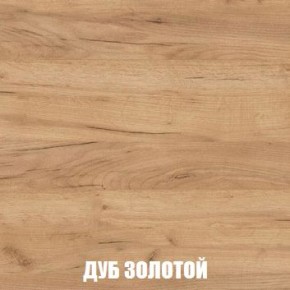 МСП-1 Шкаф 2-х створчатый (Дуб Золотой/Камень темный) в Троицке - troick.ok-mebel.com | фото 4