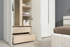 Муссон Шкаф двухстворчатый 13.198 в Троицке - troick.ok-mebel.com | фото 3