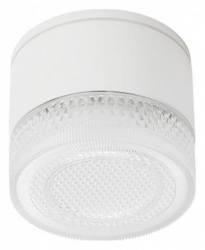 Накладной светильник Arte Lamp Piautos A1926PF-1WH в Троицке - troick.ok-mebel.com | фото