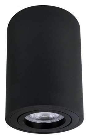 Накладной светильник Arte Lamp Sentry A1566PL-1BK в Троицке - troick.ok-mebel.com | фото