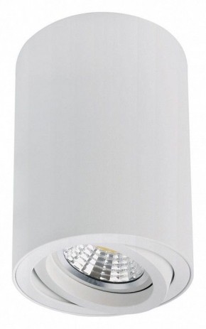 Накладной светильник Arte Lamp Sentry A1566PL-1WH в Троицке - troick.ok-mebel.com | фото