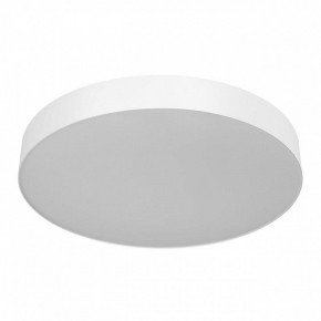 Накладной светильник Citilux BART CL755490 в Троицке - troick.ok-mebel.com | фото