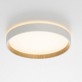 Накладной светильник Citilux Etalon CL750240 в Троицке - troick.ok-mebel.com | фото 12